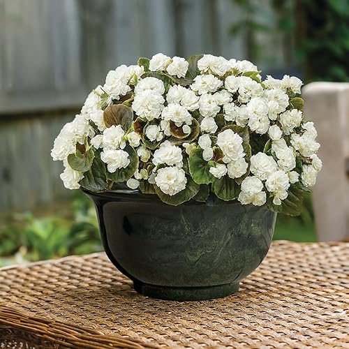 Miniatura 6 de Classic Home and Garden Maceta "Veneciana Deep Bowl 12.5", granito gris (28060B1)