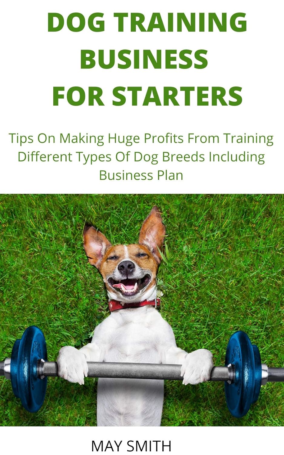 DOG TRAINING BUSINESS FOR STARTERS Tips On Making Huge