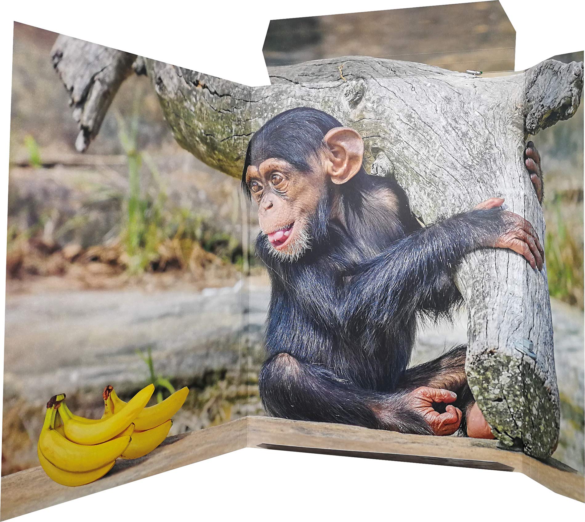 RNK Relaxed Monkey 45352 Drawing Folder 310 x 440 mm DIN A3 Pack