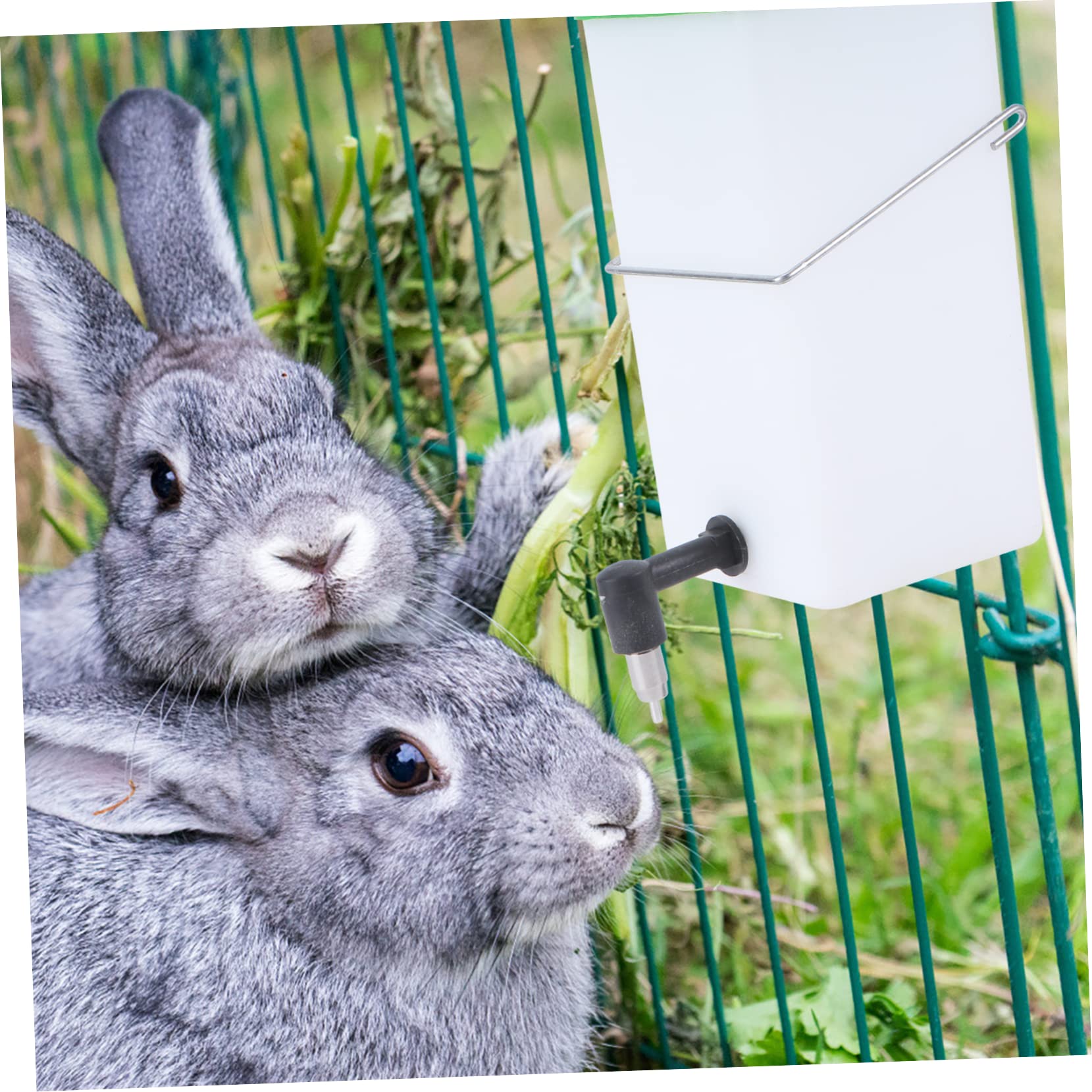 BESPORTBLE 3pezzi Abbeveratoio Automatico Per Conigli Distributore Per Animali Domestici Plastica Bianco e Verde Facile Da Pulire Perdite Per Conigli e Piccoli Animali Domestici