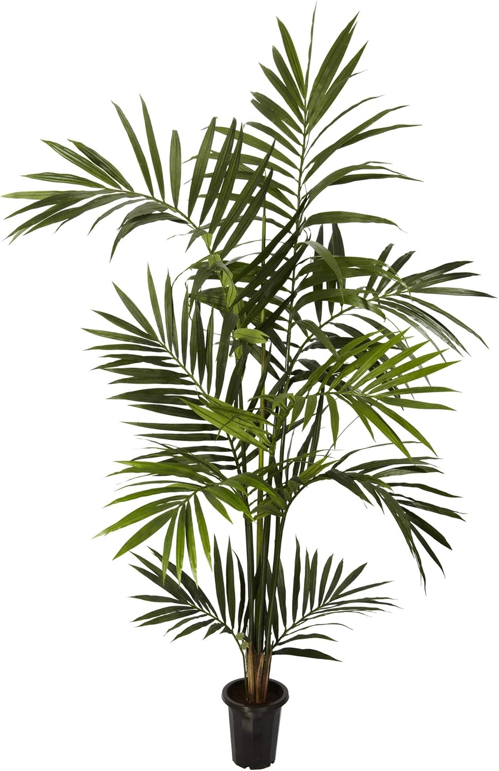 Nearly Natural 6ft. Kentia Palm Silk Tree