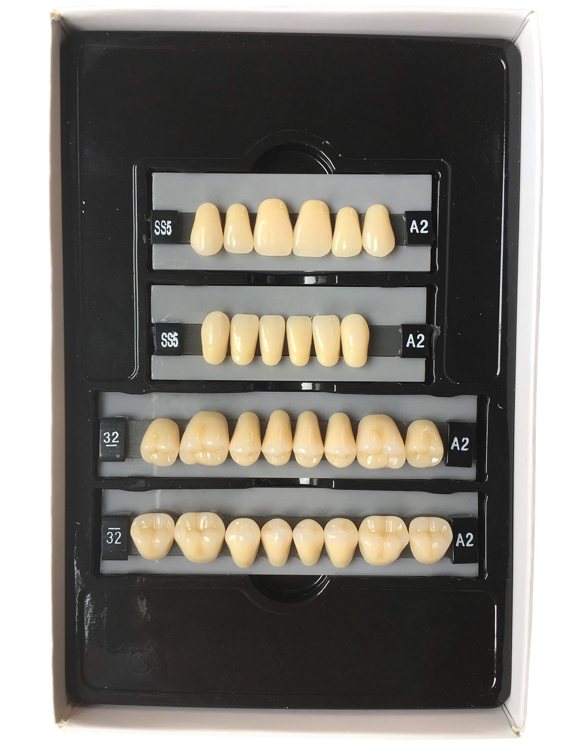 SDent® 2 Boxes 2 Layers NADO ENDURA Synthetic Teeth Multi-Layer Acrylic Composite False Teeth Super Hard Denture Polymer Polymerial Materials & Full Set & A3 & 1 SET