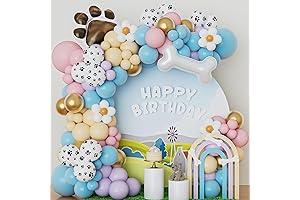 Paw-some Bluey Theme Party Decorations with Balloons and Garland