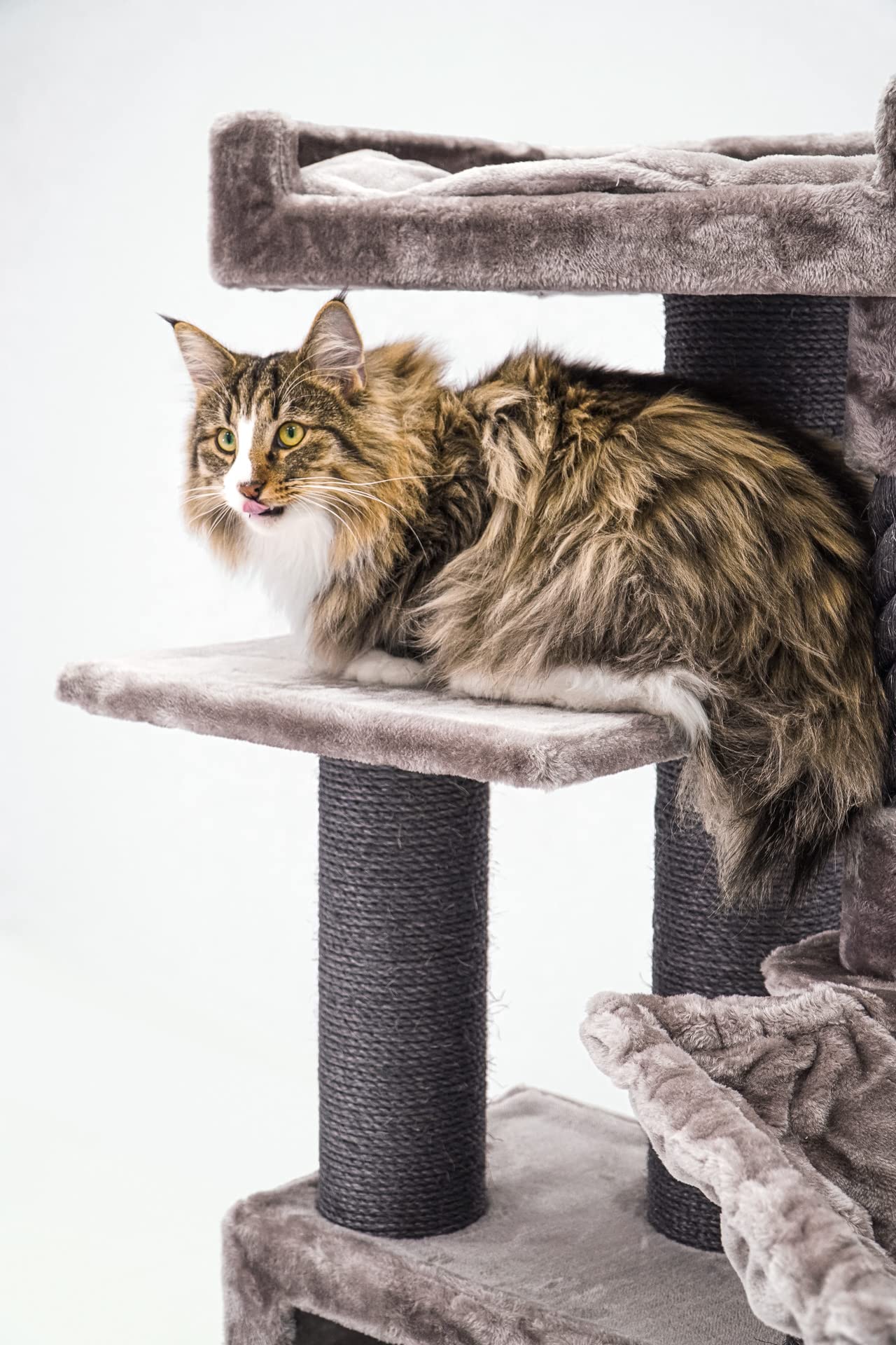 Petrebels Kratzbaum für Katzen 131 cm, Katzenbaum Stabil mit Sisalstämmen, Höhle, Hängematte und Liegeflächen, Parklane 131, Katzenkratzbaum für große und schwere Katzen, Cappuccino