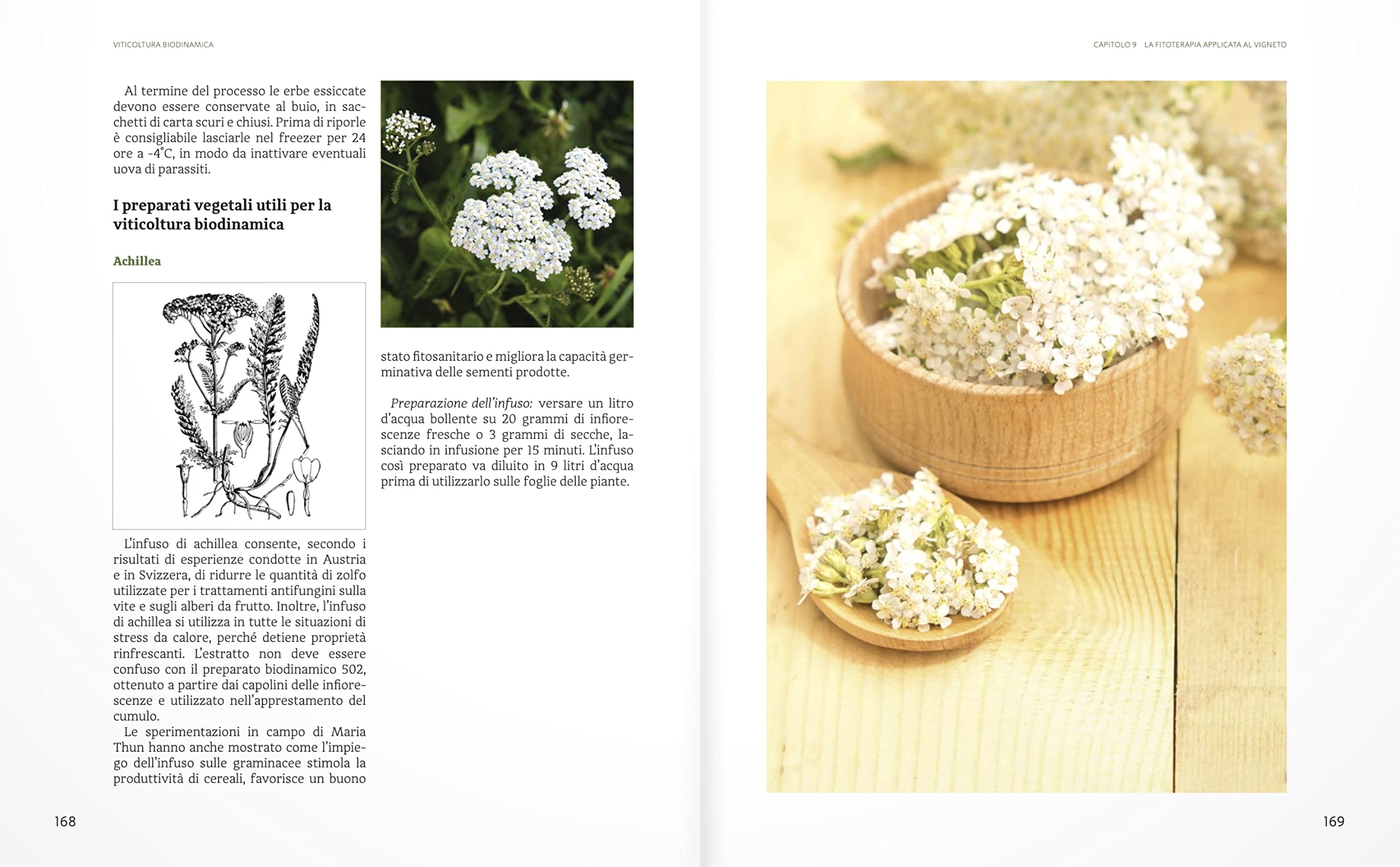 Manuale di viticoltura biodinamica. La prima guida pratica per applicare il metodo agricolo biodinamico al vigneto. Ediz. illustrata