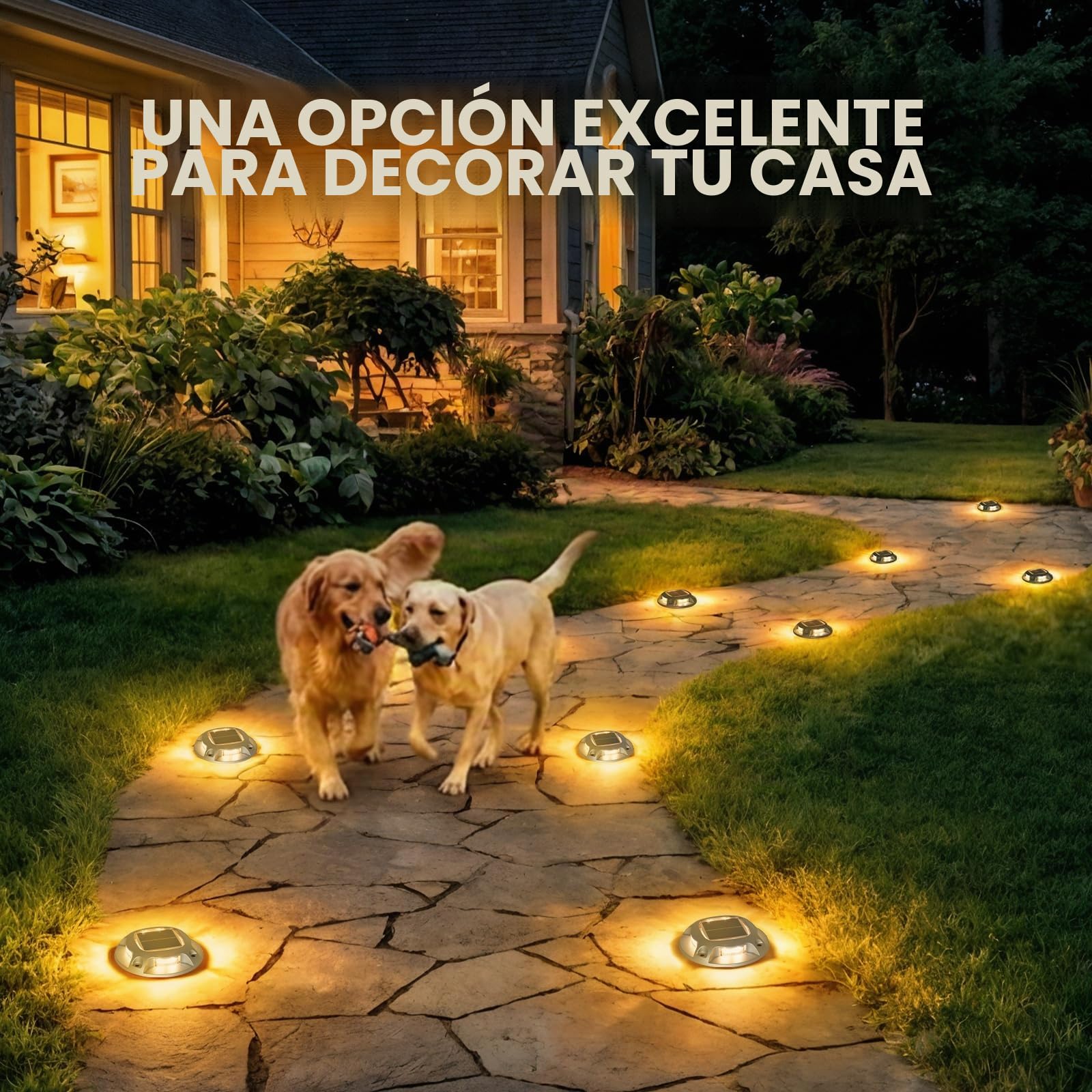 AGPTEK 8 x Luz Solar Exterior Luces IP68 Impermeable Jardín, 2 Modos | Auto ON/OFF Luz Solar Suelo 2 Color Modos para Patio, Garaje, Camino, Escaleras Aceras Pasillos (Blanco Cálido/Frío)