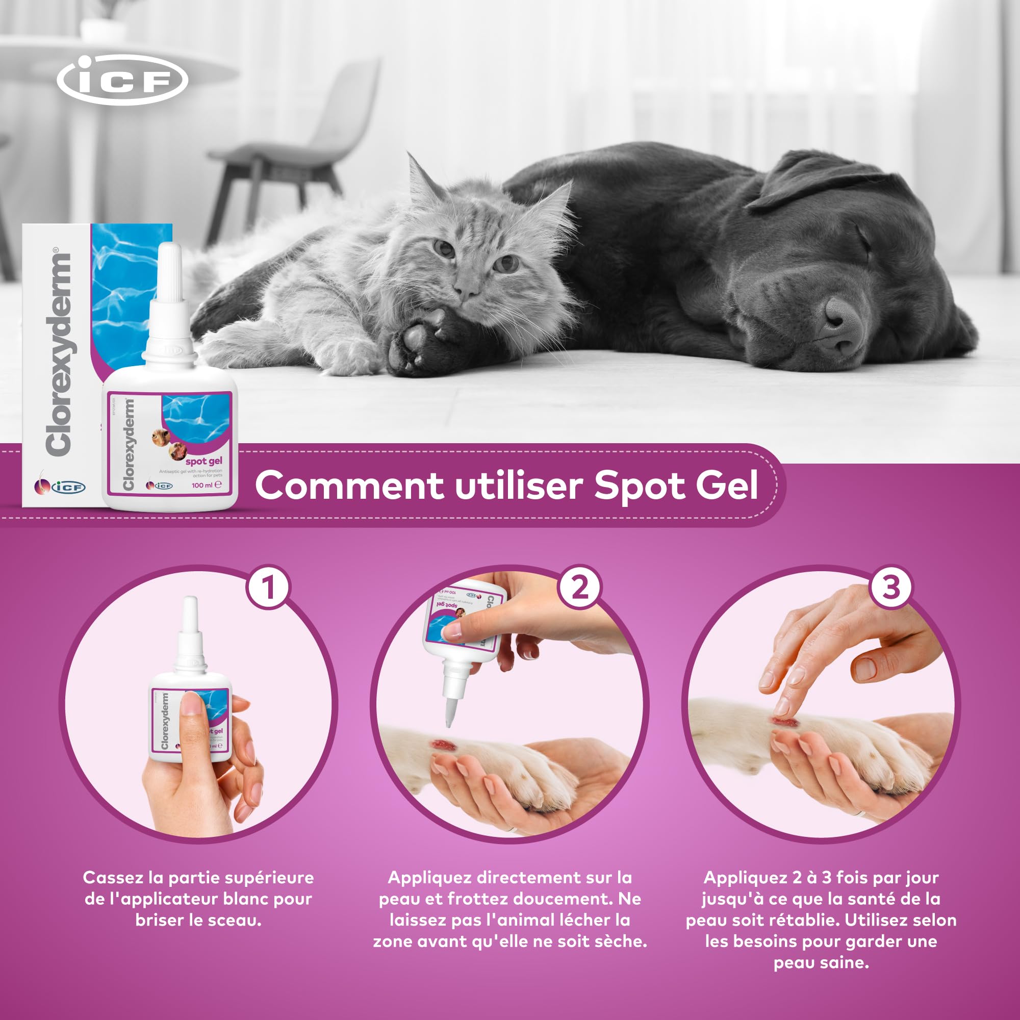 ICF Clorexyderm Spot Gel | Gel Assainissant, Hydratant et Protecteur pour Chien et Chat | Soin Indiqué pour Application Locale : Peau et Oreille | Produit 100ml