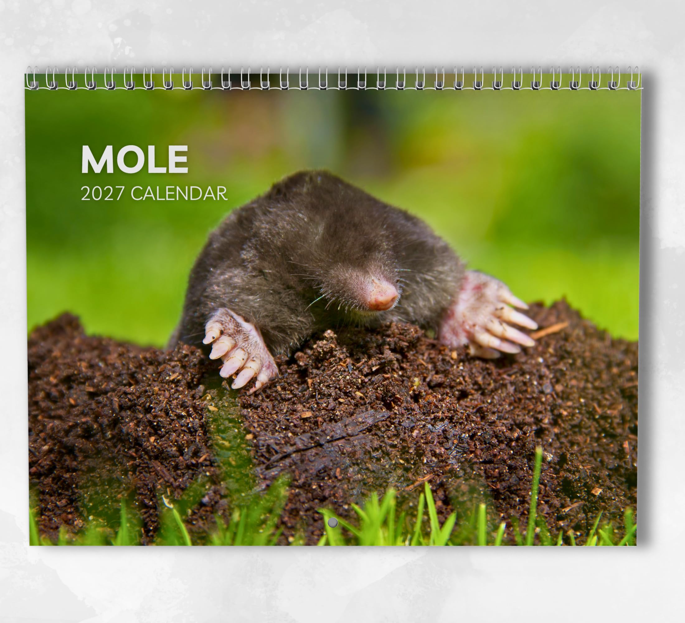 Mole Calendar 2027: Monthly Wall Calendar with Notes, Hanging A3 Size, Includes key dates & holidays