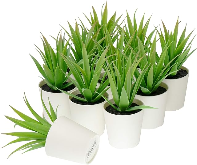 Ikea FEJKA Mini Artificial Succulent Desk Plants in Pots (6 Centimetres) - Set of 10