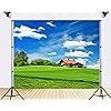 Product Photo 2