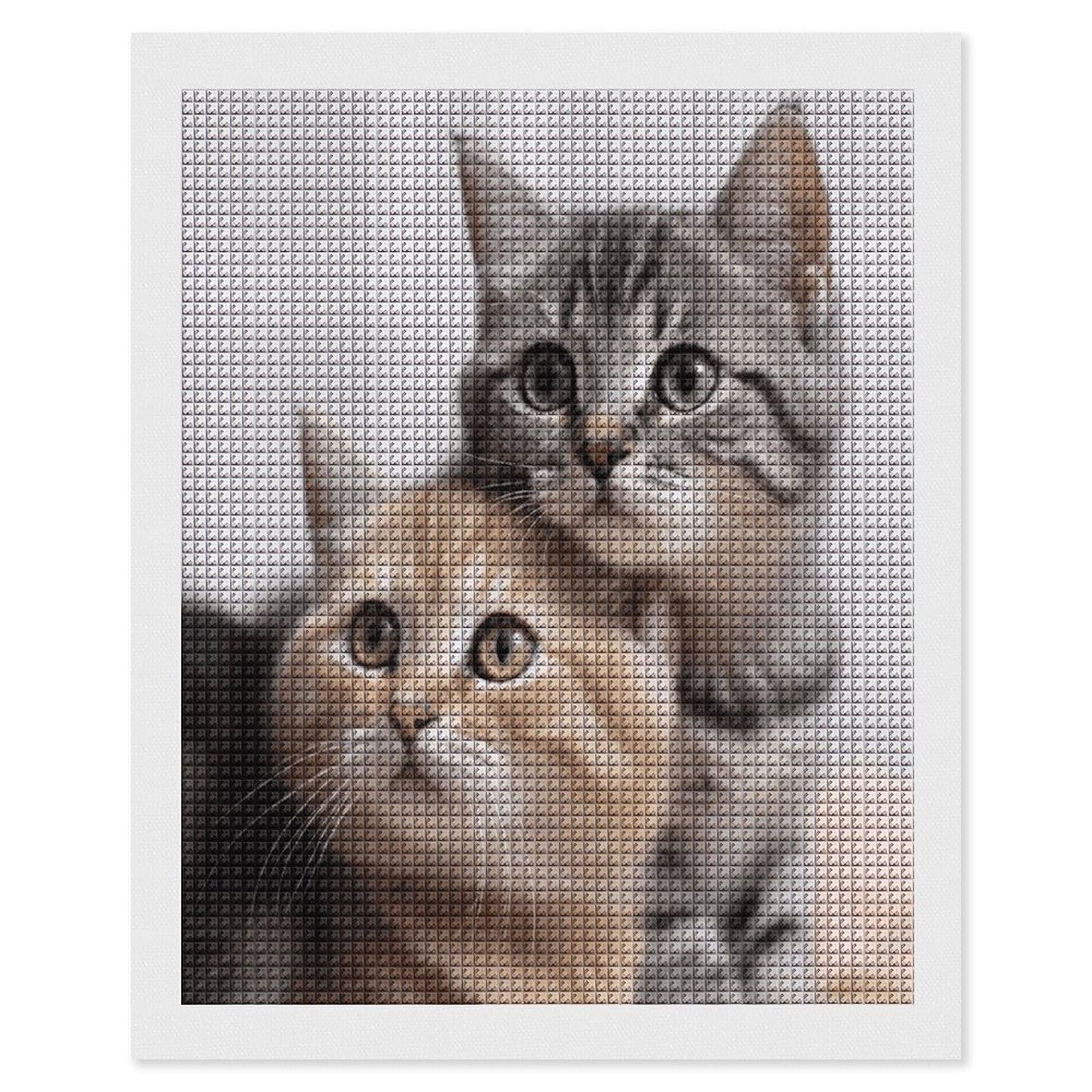 FodPand Cats Diamond Painting Kit for Beginner Fun 5D DIY Crafts for Adults Diamond Art Kits Square Diamond Art Canvas Painting Gem Art Crafts for Home Wall Decor 16"x20"