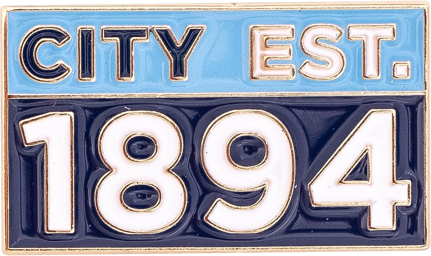 Desert Cactus Manchester City Lapel Pins Man City MCFC Football Soccer Logo Enamel Made of Metal