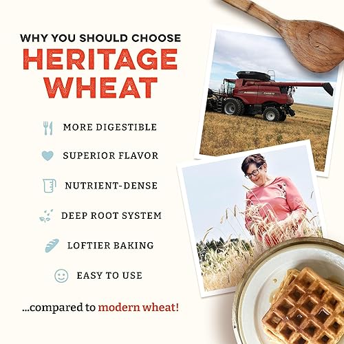 Miniatura 3 de Sunrise Flour Mill USDA Organic Heritage - Mezcla para panqueques de 7 granos  Disfruta de gofres esponjosos y sabrosos  Más fácil de digerir con