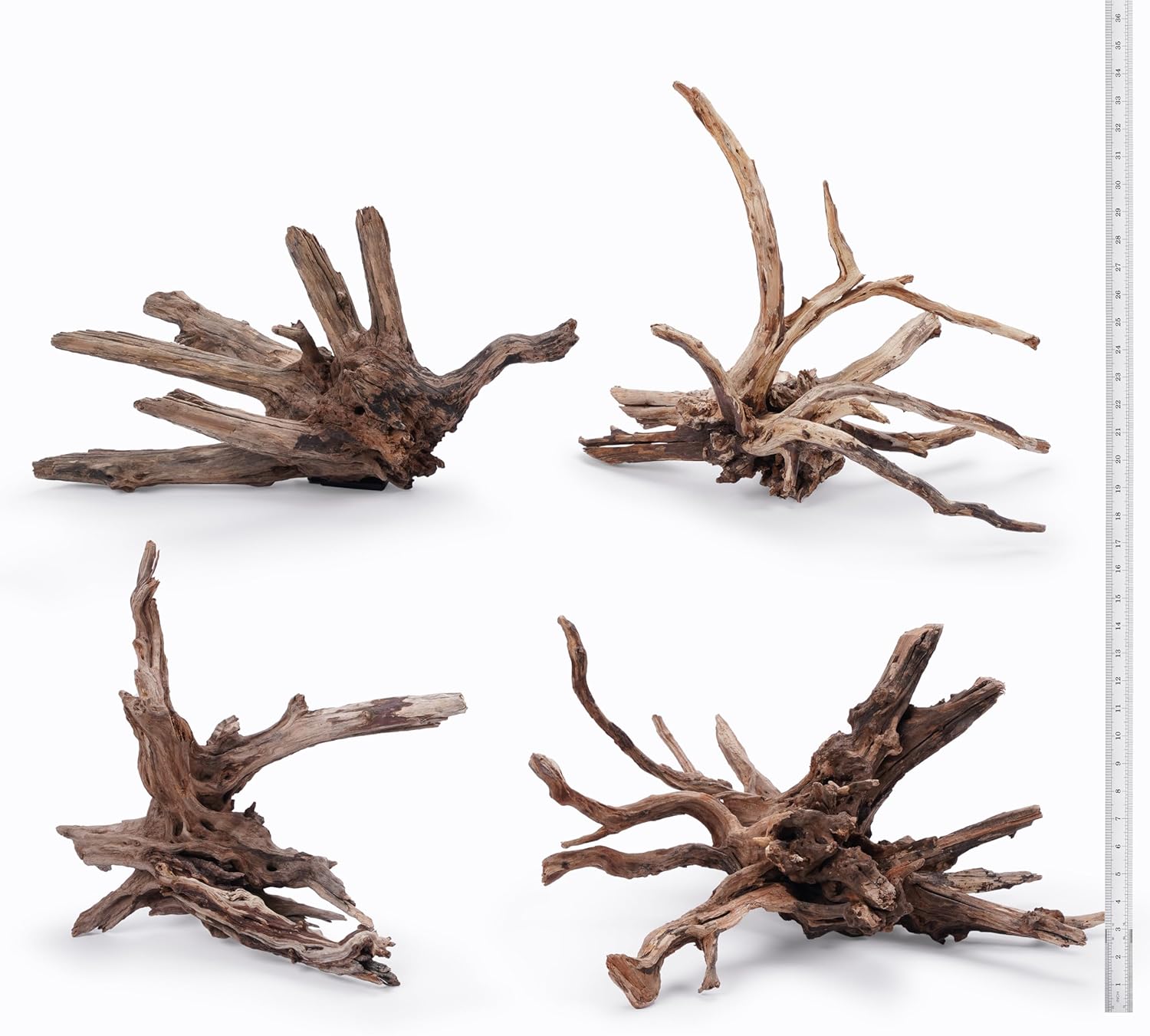 LANDEN Kueiyang Hornwood for Aquascaping, Aquarium Driftwood Decor, Natural Branches(12-14 inches, 30-35cm) 4pcs Terrariums Vivariums Reptile and Amphibian Enclosures Various Shapes