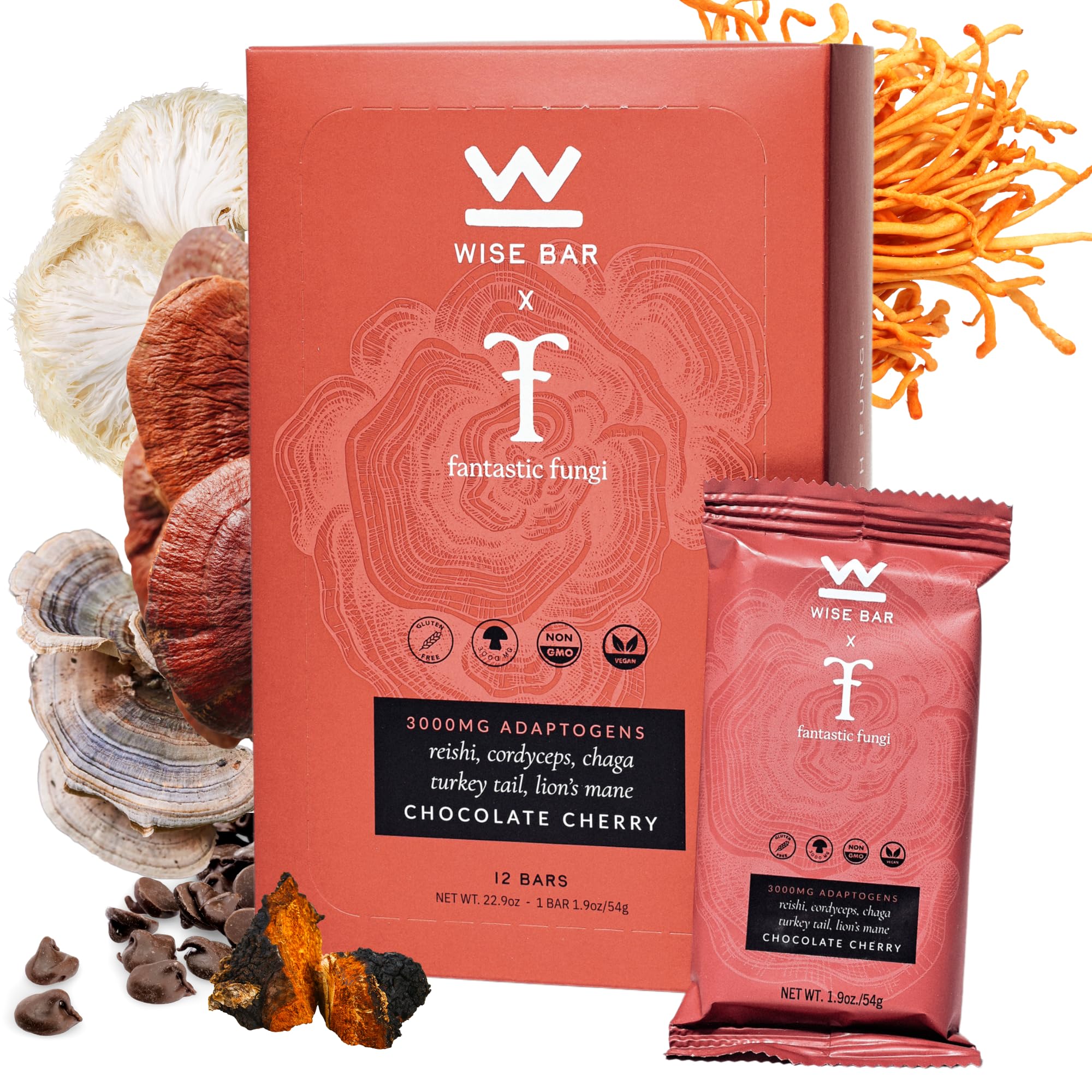 WISE BARAdaptogen Mushroom Nutrition Bars with Reishi, Lions Mane & Ashwagandha, Organic Vegan & Gluten Free Snacks for Natural Focus, Energy & Immunity Support, Chocolate Cherry Flavor, 12 Count
