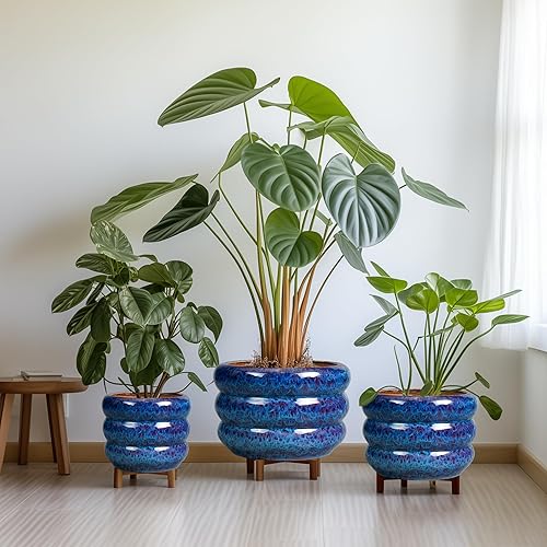 Miniatura 8 de SQOWL Maceta de cerámica Maceta de 8 pulgadas para interiores con orificio de drenaje, maceta redonda para plantas y exteriores, maceta decorativa