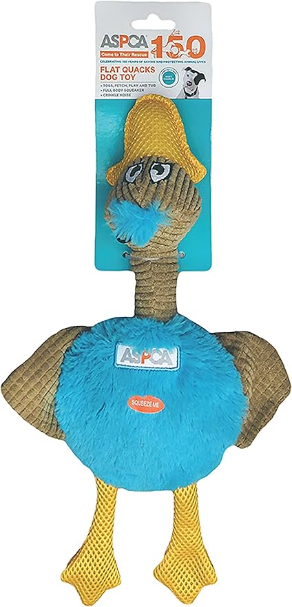 Amazon Com Bow Wow Pet Aspca Flat Quacks Dog Toy Blue Pet Supplies