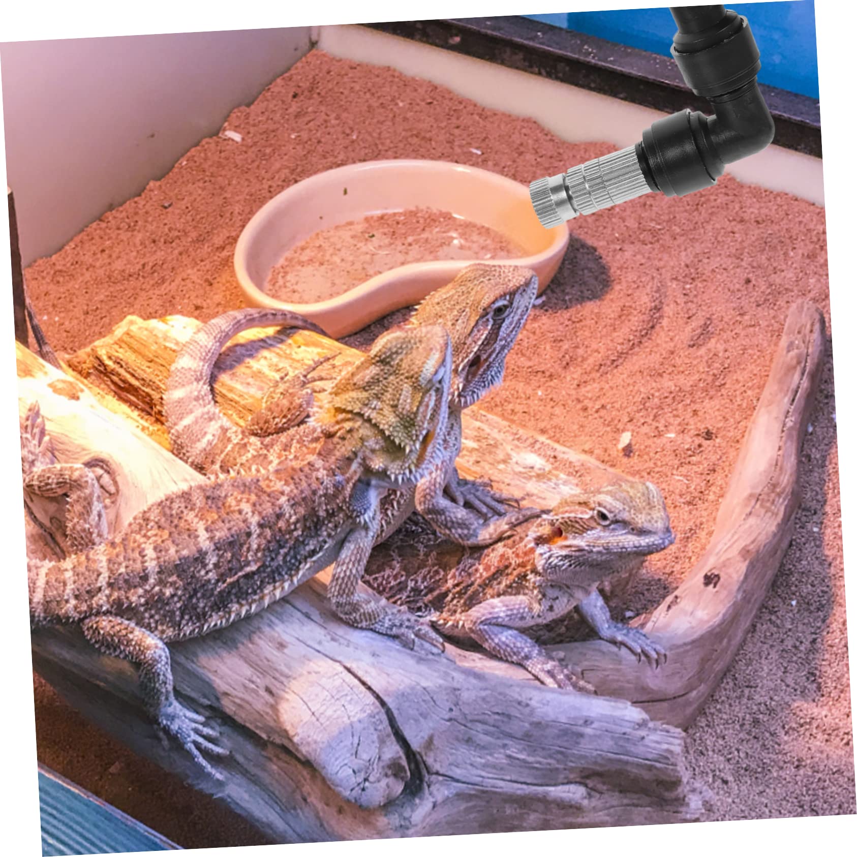 Sosoport 5pezzi Ugello Nebulizzatore Per Irrigazione Serbatoio Reptili Spruzzatore Misting Per Piante e Muschi Facile Installazione e Alta Durabilità Accessorio Per Terrari e