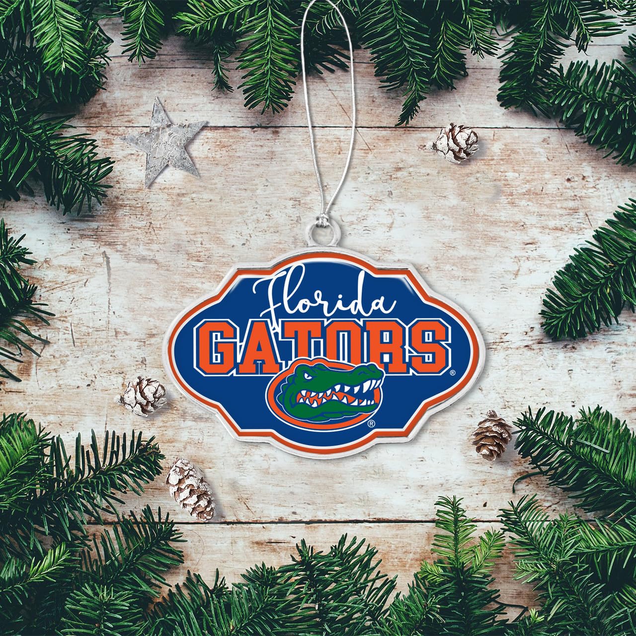 Florida Gators Frame Design Christmas Ornament with Team Logo Silver Metal Gift Tree Decoration UF