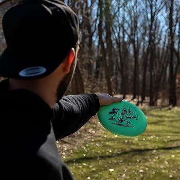 Amazon.com : Discraft Big Z Three Pack - Designed for All