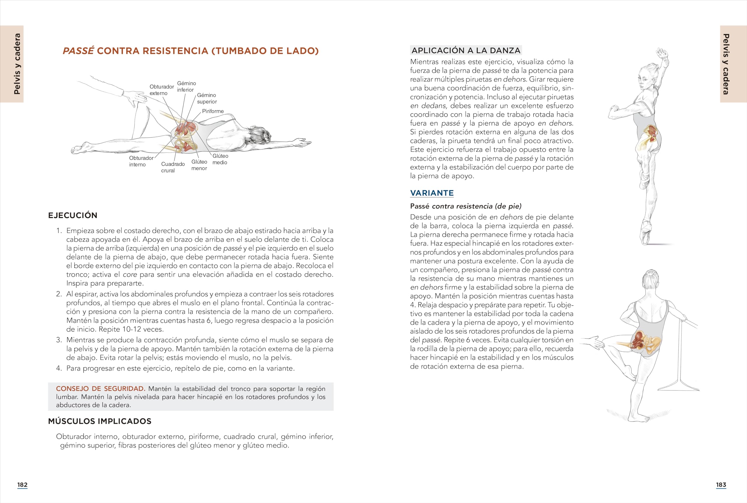 Anatomía de la danza. Nueva edición ampliada y actualizada: Guía ilustrada para mejorar la flexibilidad, reducir las lesiones y aumentar la fuerza