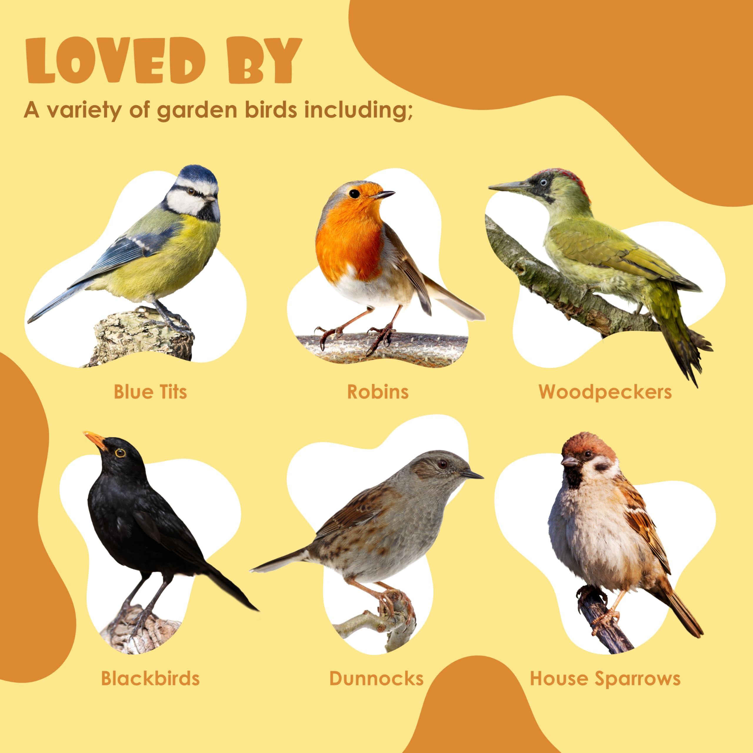 Suet Shop - Mealworm Suet Blocks for Wild Birds, 300g (Pack of 10) - Enriched with Human Grade Beef Tallow, High in Energy & Protein - All-Season Bird Feed - Manufactured In The UK — view 4
