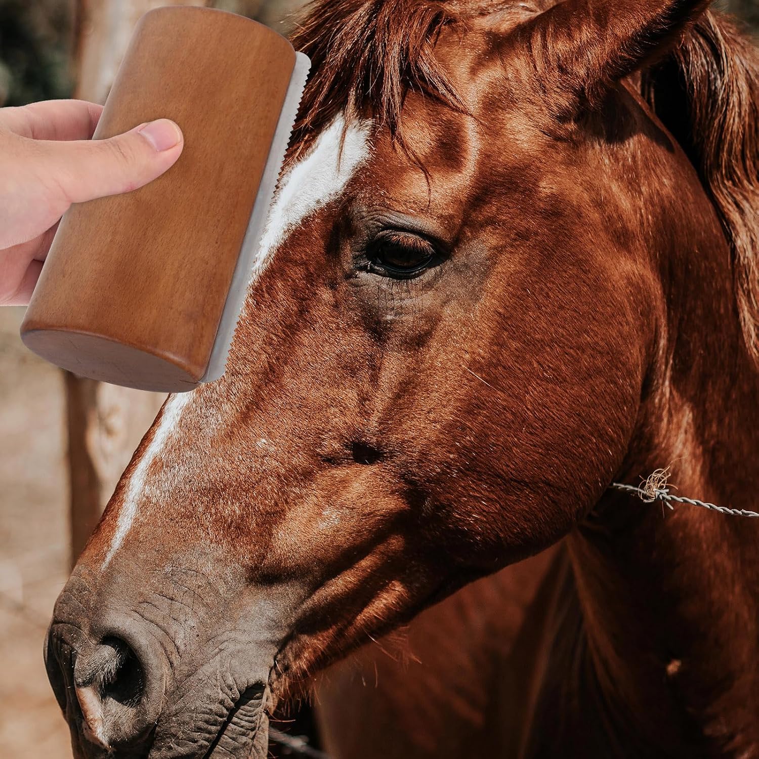 Toddmomy Horse Grooming Brush Wood Sweat Scraper Deshedding Tool Medium Size for Horse Care Stable Use