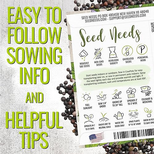 Miniatura 4 de Paquete de 100semillas Broad Leaved zacate Sage Salvia Officinalis non-gmo semillas por las necesidades de semillas