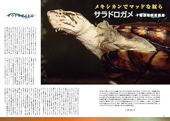 ビバリュームガイド ビバリウムガイド(72) 2016年 02 月号 |本 | 通販 | Amazon