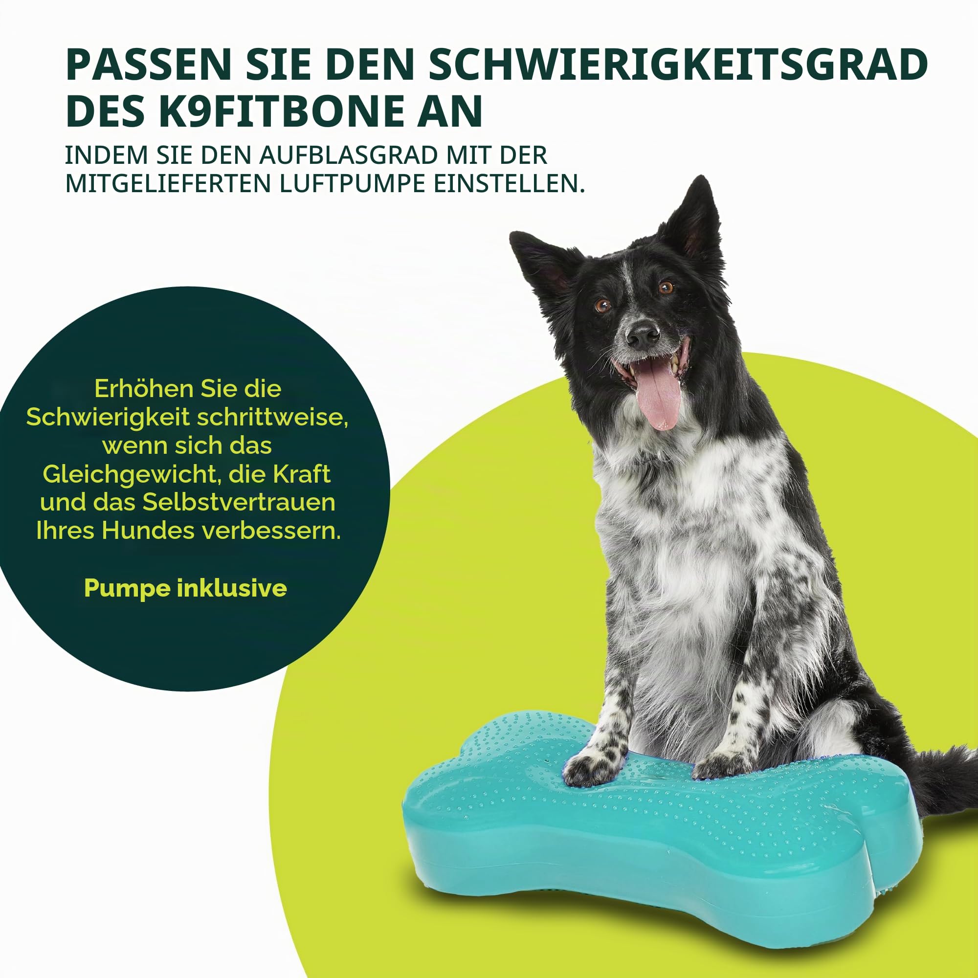 FitPaws k9fitbone Zubehör Erziehung für Hunde, Farbe : sortiert