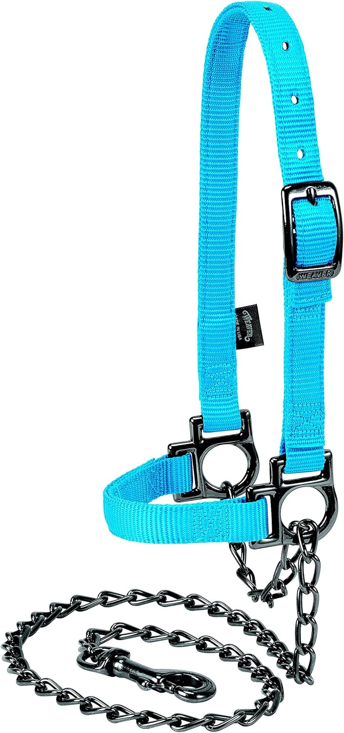 Weaver Leather Livestock Nylon Adjustable Sheep Halter with Chain Lead, Black