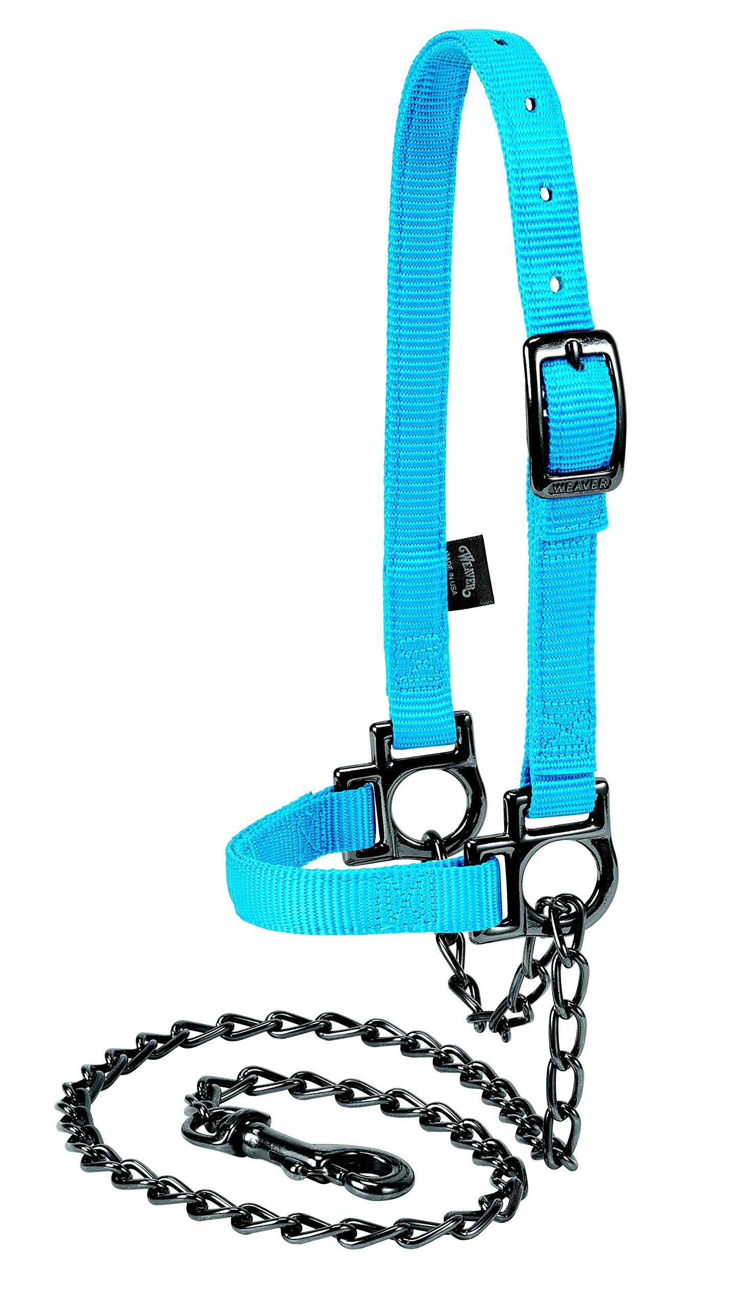 Weaver Nylon Adjustable Sheep Halter with Chain Lead