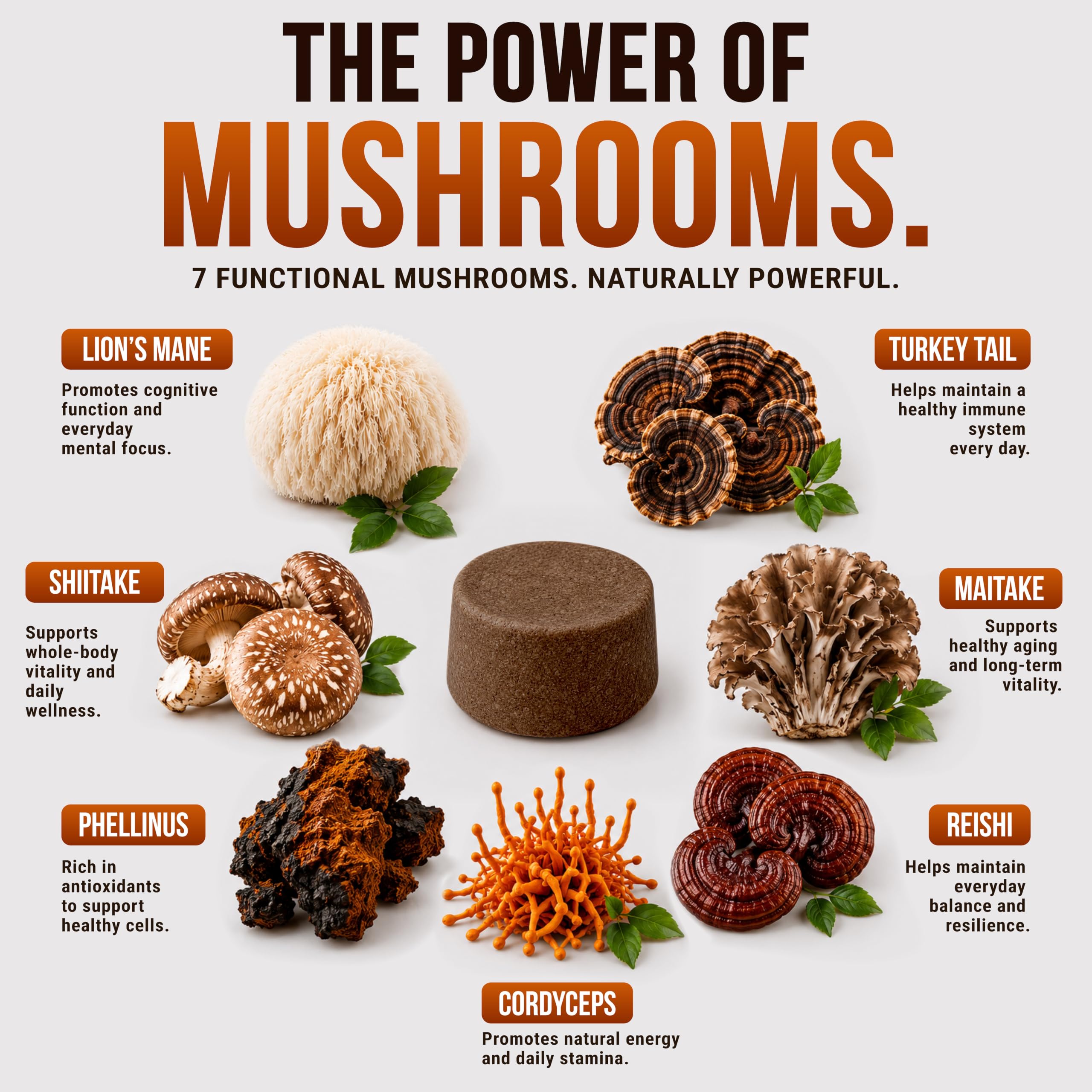 Turkey Tail Mushroom for Dogs - 250 Chews - Dog Lipoma Mushroom Supplement — Amazon image 4