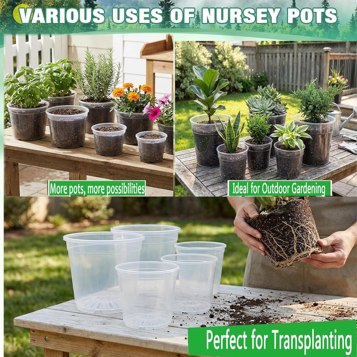 10/8/7/6 Inch Clear Nursery Pots (12 Pack) - Multi-Size Decorative Pot Liners with Drainage - Root Monitoring Transparent Planters for Monstera, Orchids & Aroids - Thick Reusable Inserts
