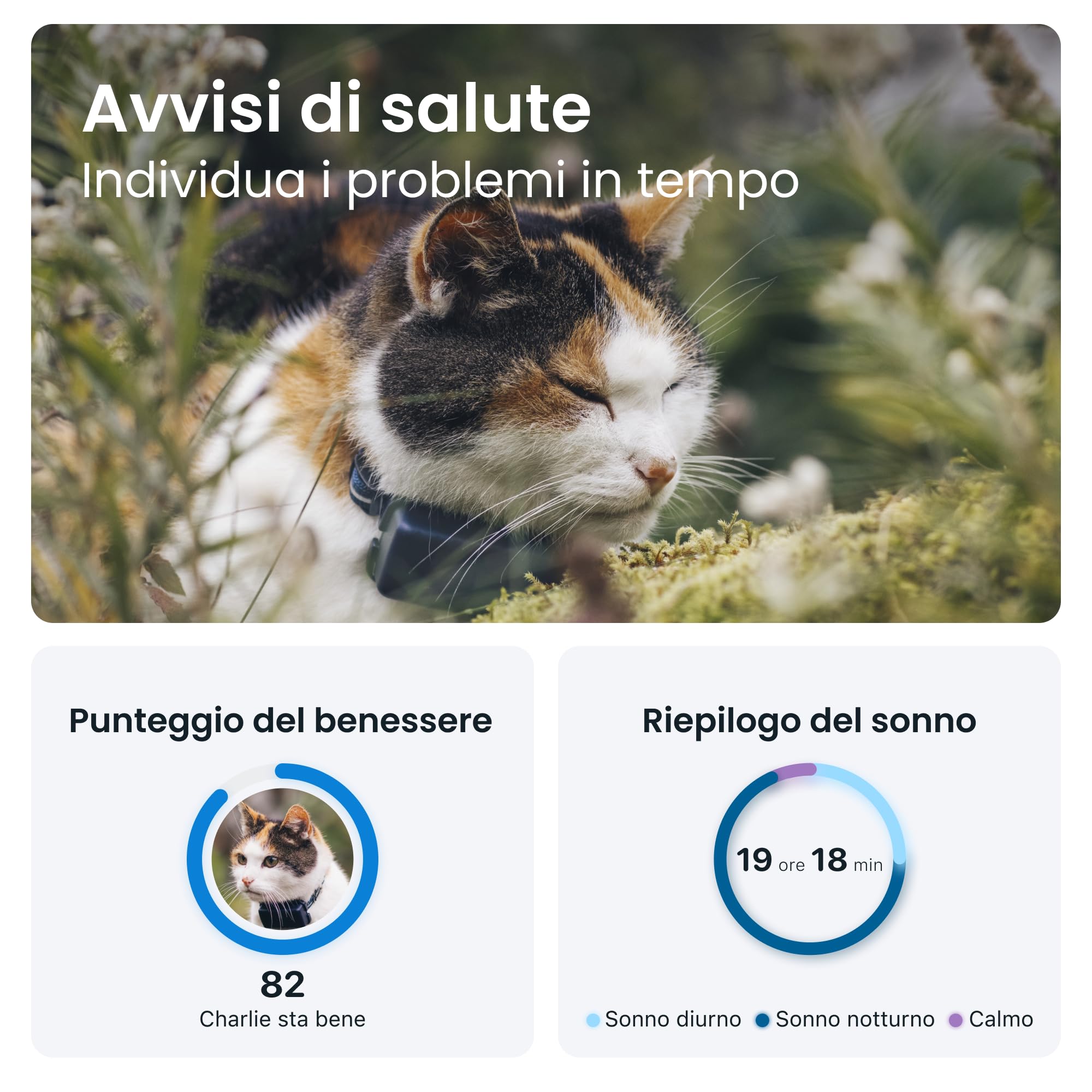 Tractive - GPS gatto modello Mini | N. 1 sul mercato | Localizzazione in tempo reale | Cronologia delle posizioni | Avvisi di salute | Monitoraggio dell'attività | Collare incluso