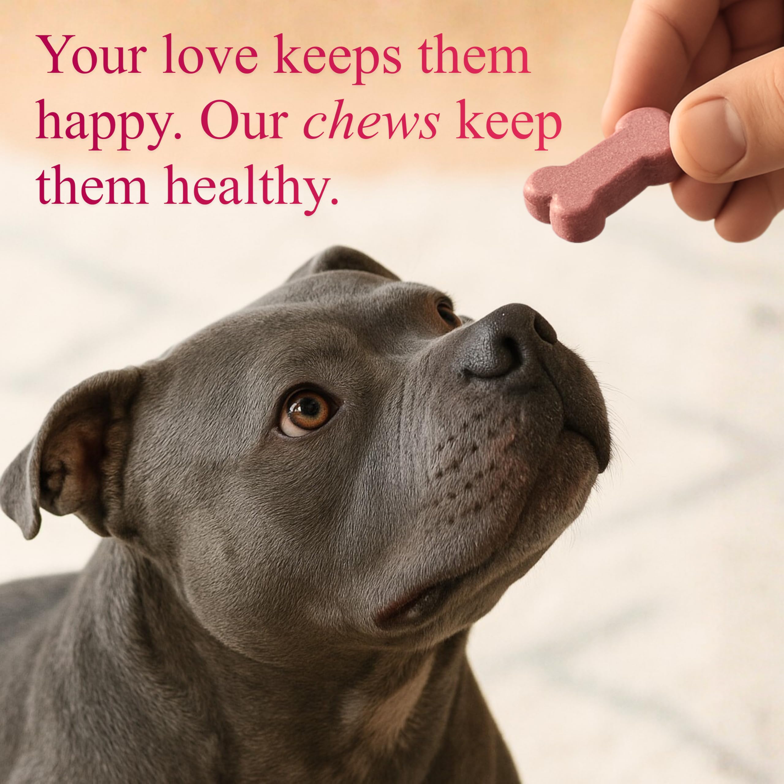 Petroyale Calcium Chews for Dogs - Calcium Supplement for Dogs with Multivitamins - Dog Calcium Tablets for Strong Bones, Joints & Teeth - Calcium for Dog Soft Chew - 50 Chewable Soft Chews — Amazon image 6