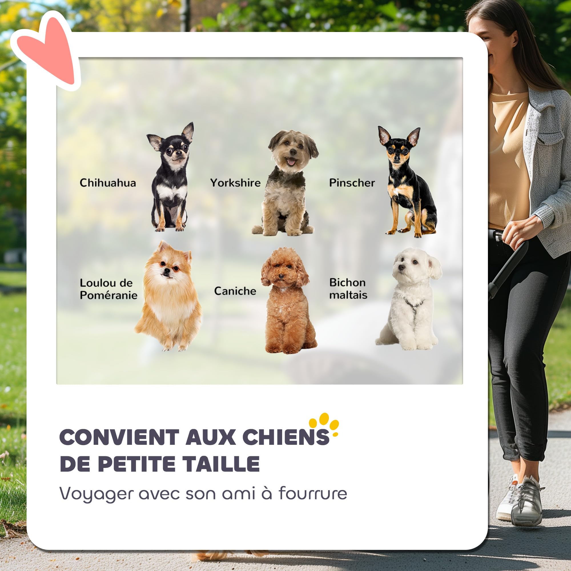 PawHut Poussette chien, poussette pour chien 4 roues, chariot pour chien, structure parapluie, légère, pliable, roues en EVA, sac de rangement, poussette chat charge 4 kg, gris clair