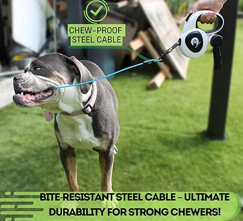 Miniatura 6 de Snuggle Paws - Correa retráctil para perro de 16 pies de alta resistencia, todo en uno para perros medianos de hasta 66 libras, linterna LED y cinta