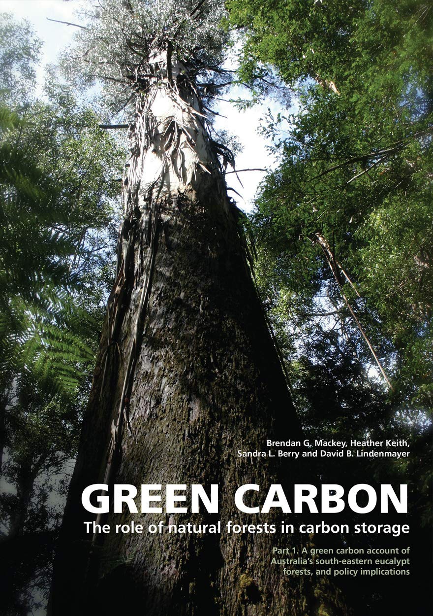 Green Carbon Part 1: The role of natural forests in carbon storage