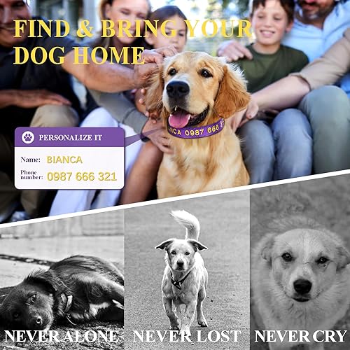 Miniatura 6 de Collares personalizados para perros, collar de perro bordado personalizado con nombre de mascota y número de teléfono, collar personalizado