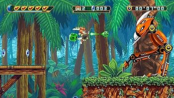 Amazon.com: Freedom Planet 2 Nintendo Switch Limited Run Video Game
