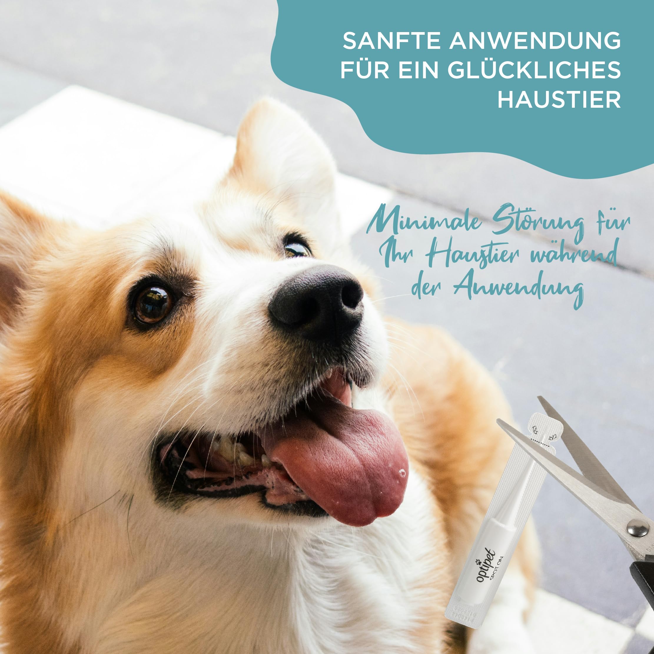 OptiPet Spot On 6x1,5ml Pipetten für Hunde, Hochwirksam bis zu 24 Wochen gegen Milben, Flöhen, Zecken, Läusen