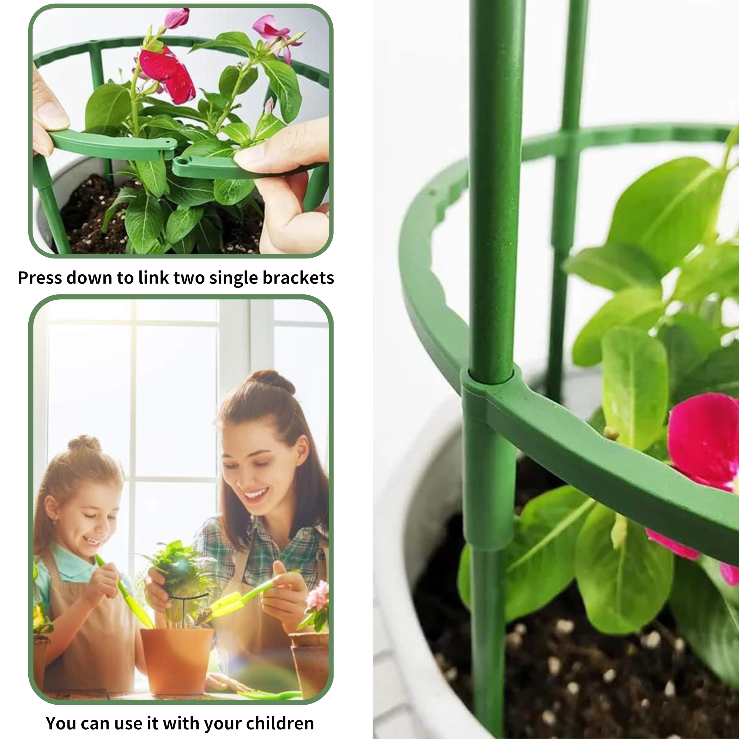 10 Pali Sostegno Piante 40cm - Supporto Per Piante A Stelo Con Anelli E Fascette - Foto 4