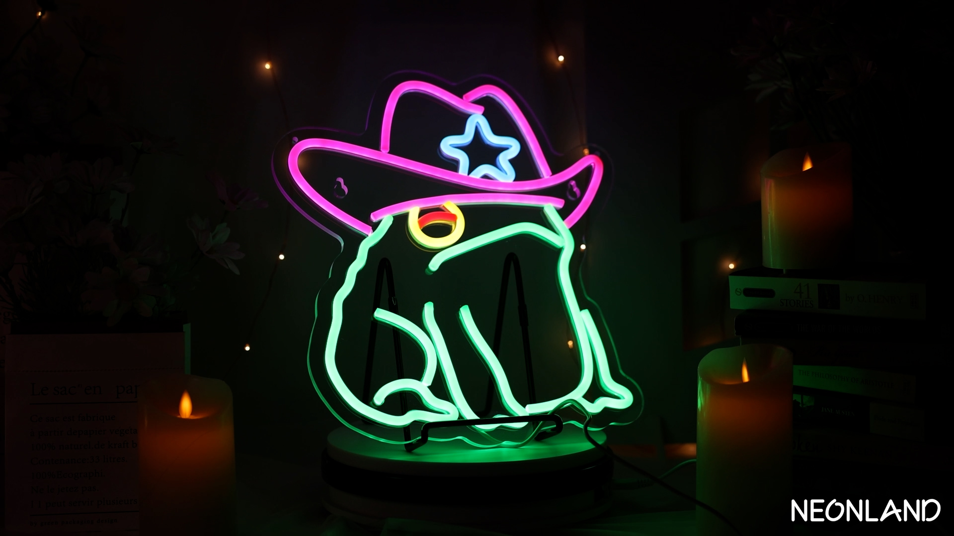 Cowboy Toad Neon Sign Frog Neon Light Cowboy LED USB Powered