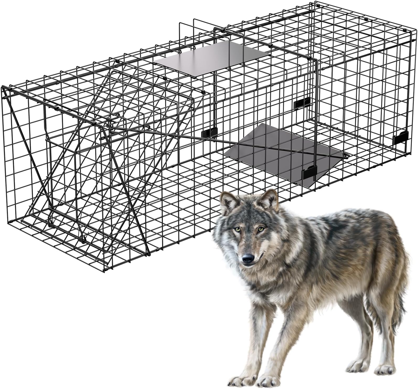 VASALAID Live Animal Trap Cage, 51 X 19 X 17inch Catch and Release Foldable Humane Live Trap Cage Indoor Outdoor for Dogs,Coyotes,Foxes,Raccoons