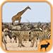 Zoo Spiele kostenlos deutsch - Tierpuzzle Spiele gratis
