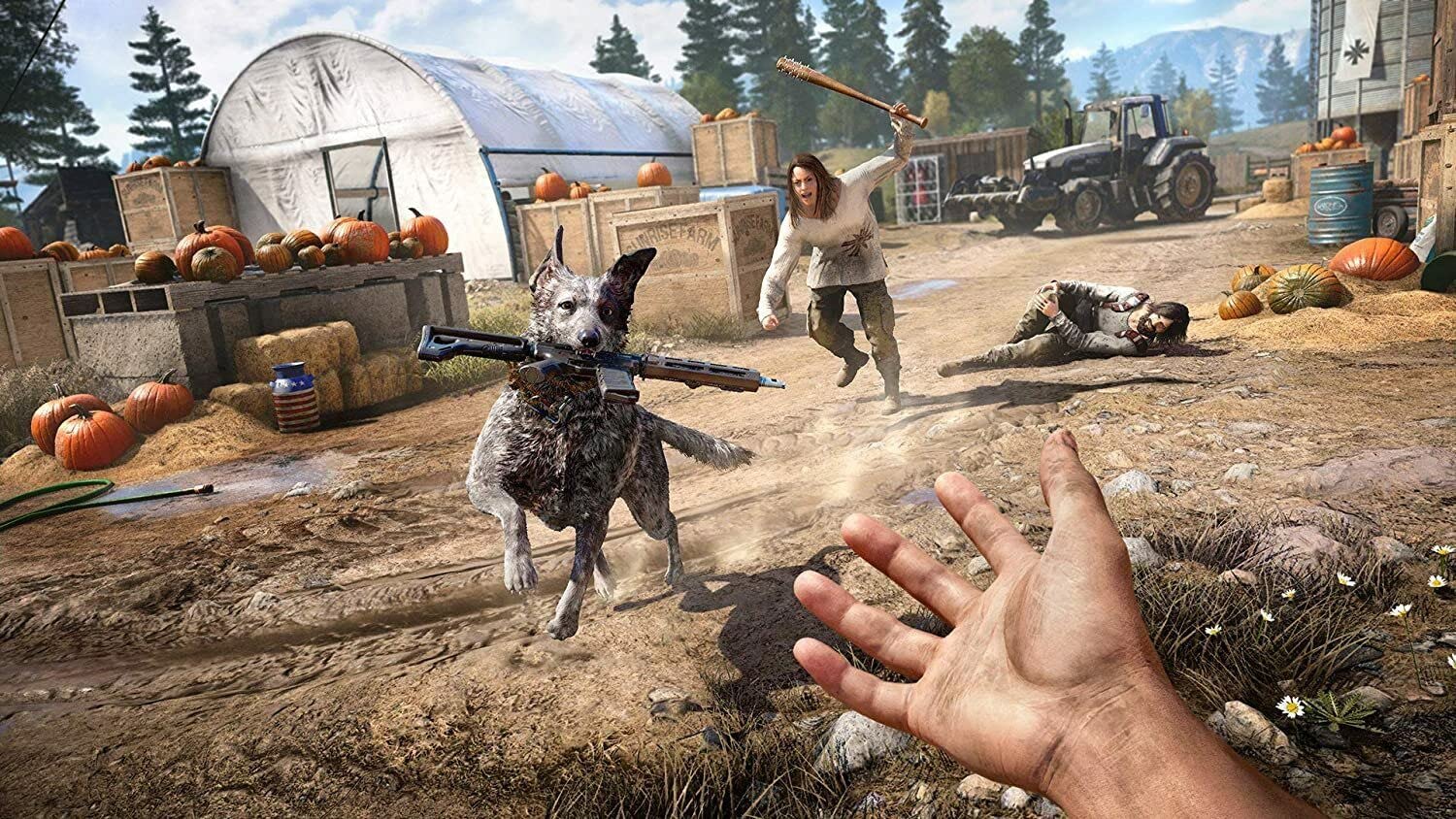 Amazon.com: Far Cry 5 Playstation 4 PS4 PS5 Ubisoft Survival