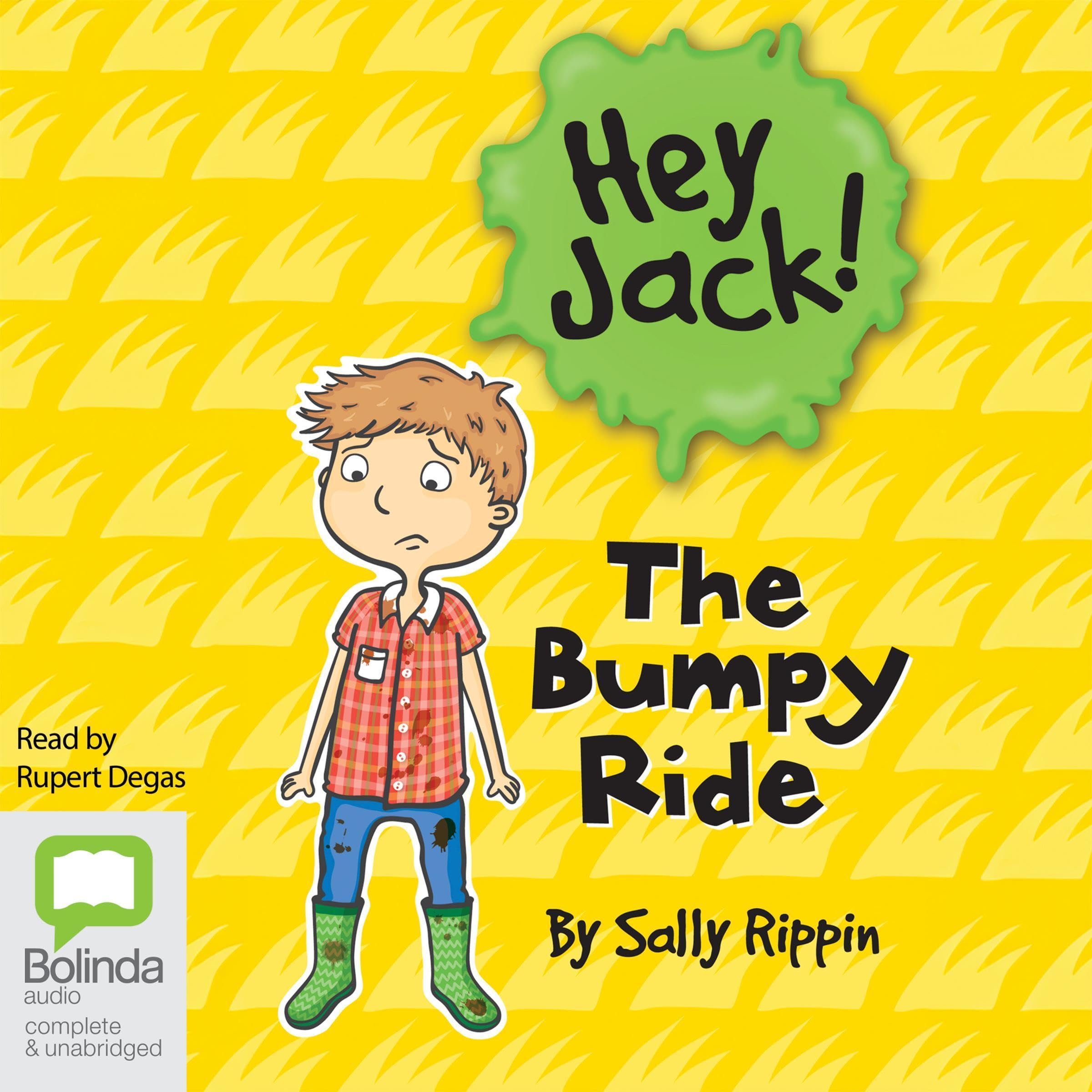 Cover art for The Bumpy Ride