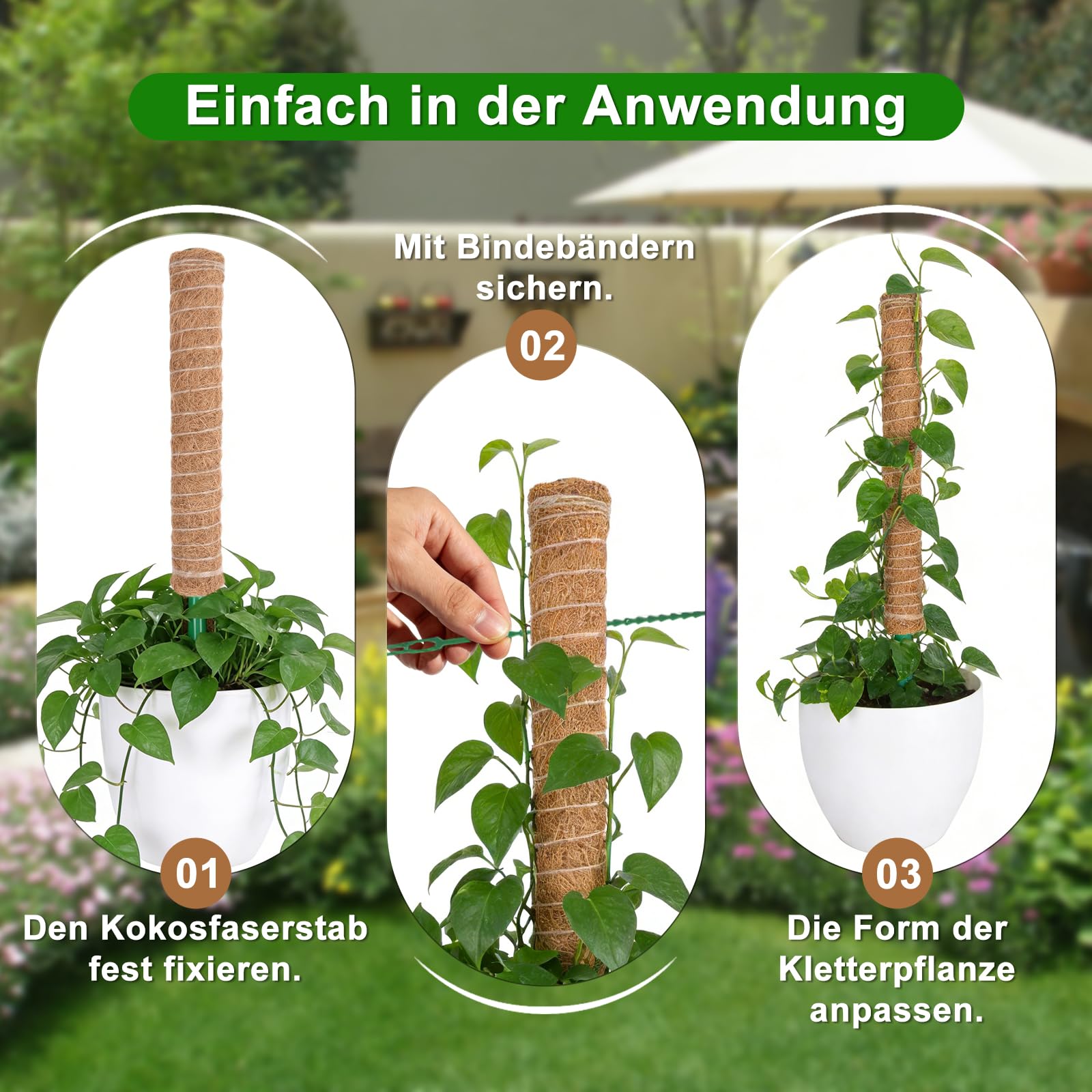 HOVIN Soporte trepador para Monstera de coco – 4 tutores extensibles de musgo, 40 cm – Para plantas trepadoras en interiores y jardines