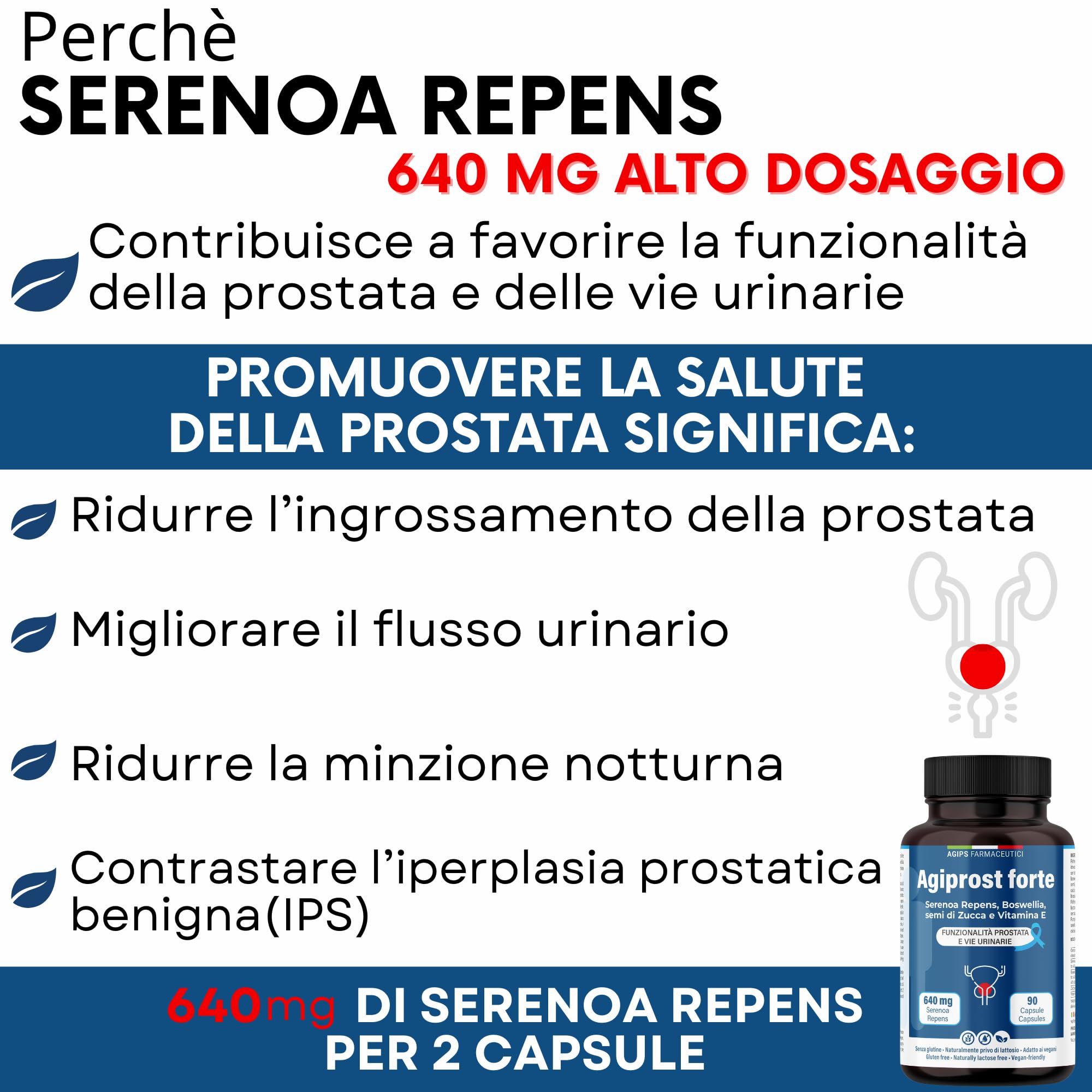 Integratore prostata 640mg SERENOA REPENS | Saw Palmetto Integratore per la Prostata e vie urinarie con Estratto di Zucca e Vitamina E 90 Capsule AGIPROST